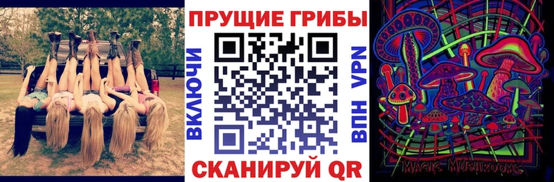 Псилоцибиновые грибы GOLDEN TEACHER  MEGA ссылка  Суворов  где найти наркотики 